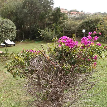 Apartment Aurice Ottima Posizione Vicina Al Mare Di